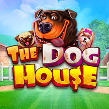 Slots no app gamedd mobile